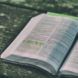O Padrão da Cruz: Efésios 4:32 e o Dever de Perdoar Como Fomos Perdoados