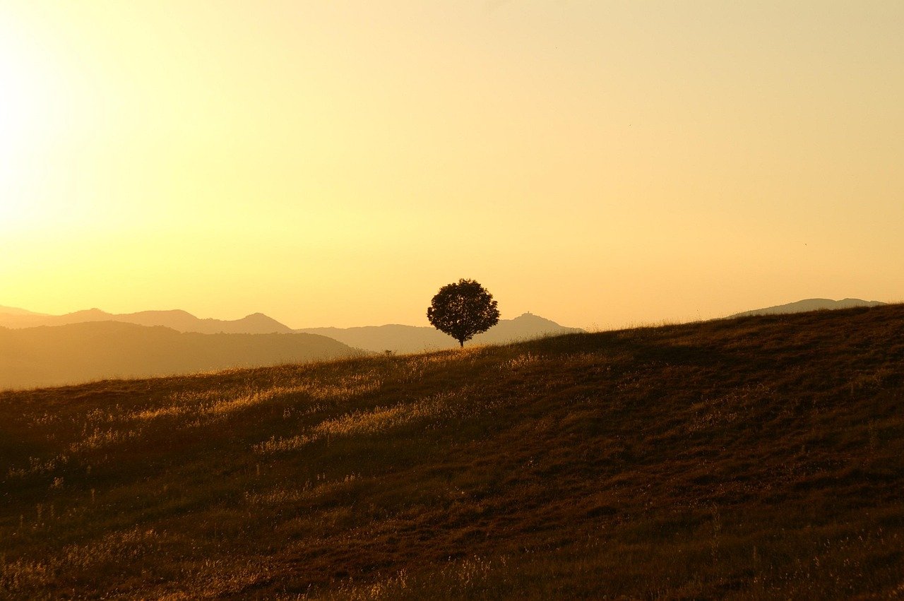 Cena campestre bíblica com luz dourada do sol da tarde sobre montanhas de Canaã