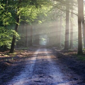 Instrui o Menino no Caminho: O Discipulado dos Filhos em Provérbios 22:6