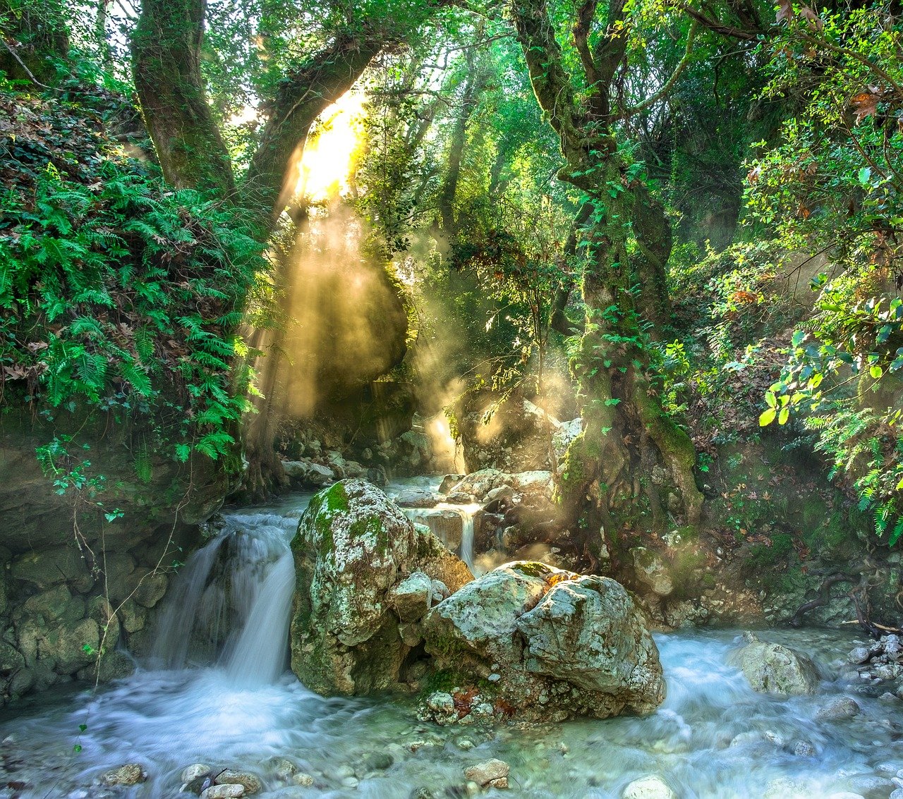 Cachoeira de águas cristalinas descendo entre pedras verdes e matas preservadas sob a luz matinal