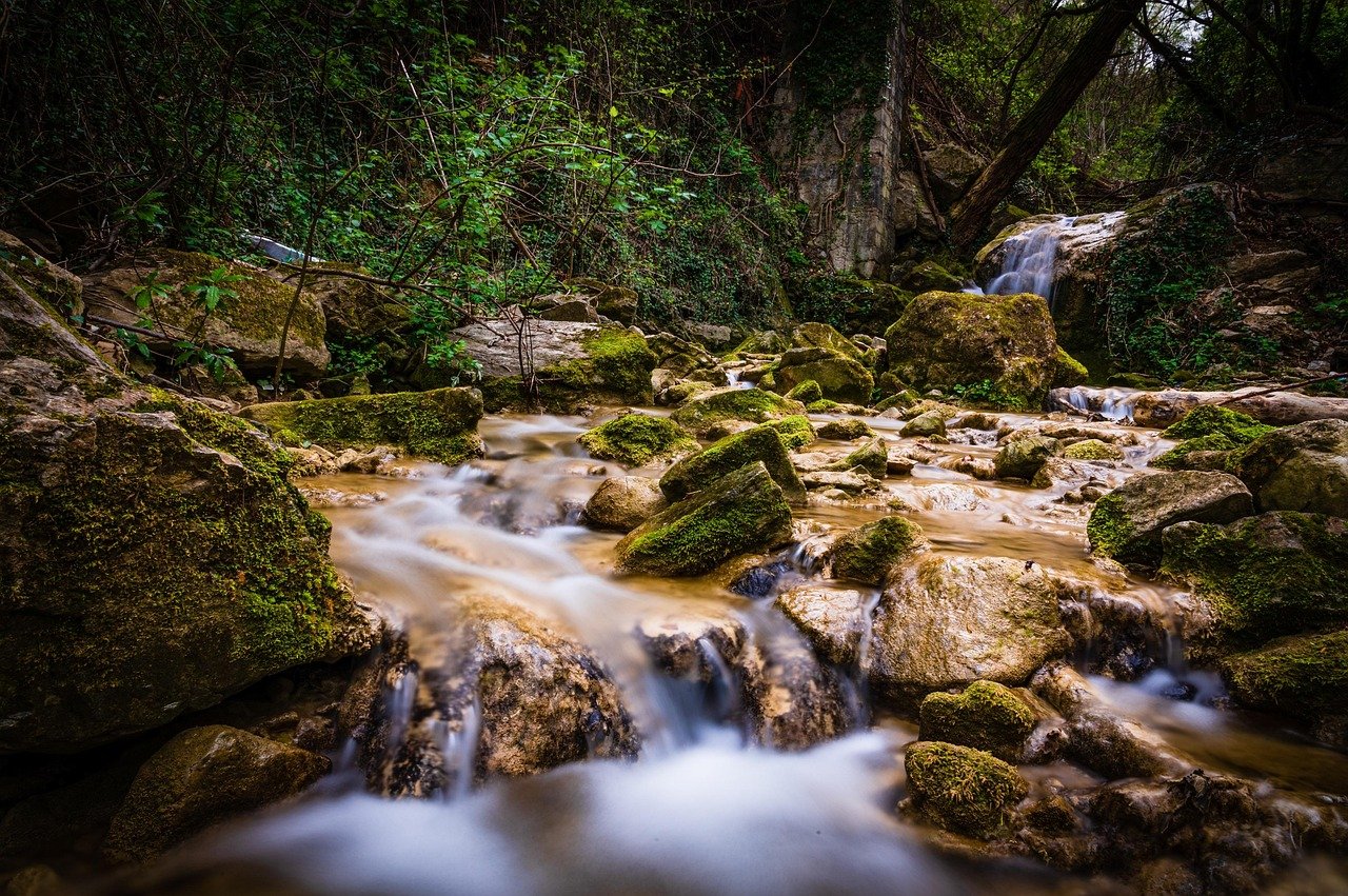 Cachoeira de águas cristalinas banhada por raios dourados de sol rompendo entre folhagens