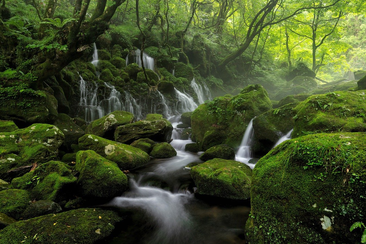 Riacho cristalino correndo suavemente entre pedras arredondadas e floresta verde exuberante