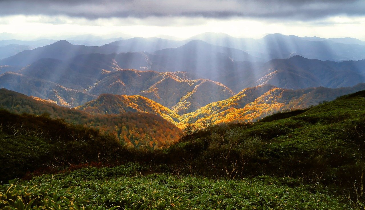 Paisagem Natural